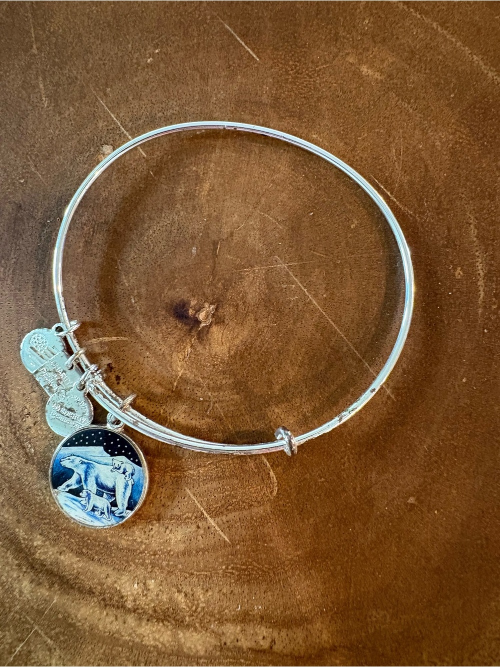 Silver Alex and Ani Polar Bear Charm Bangle Bracelet